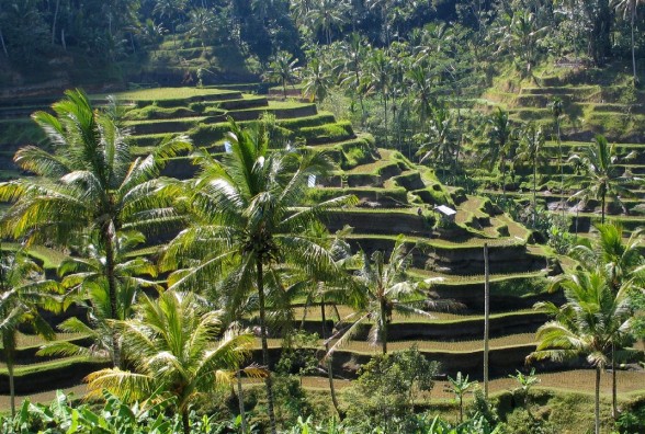 Bali_panorama